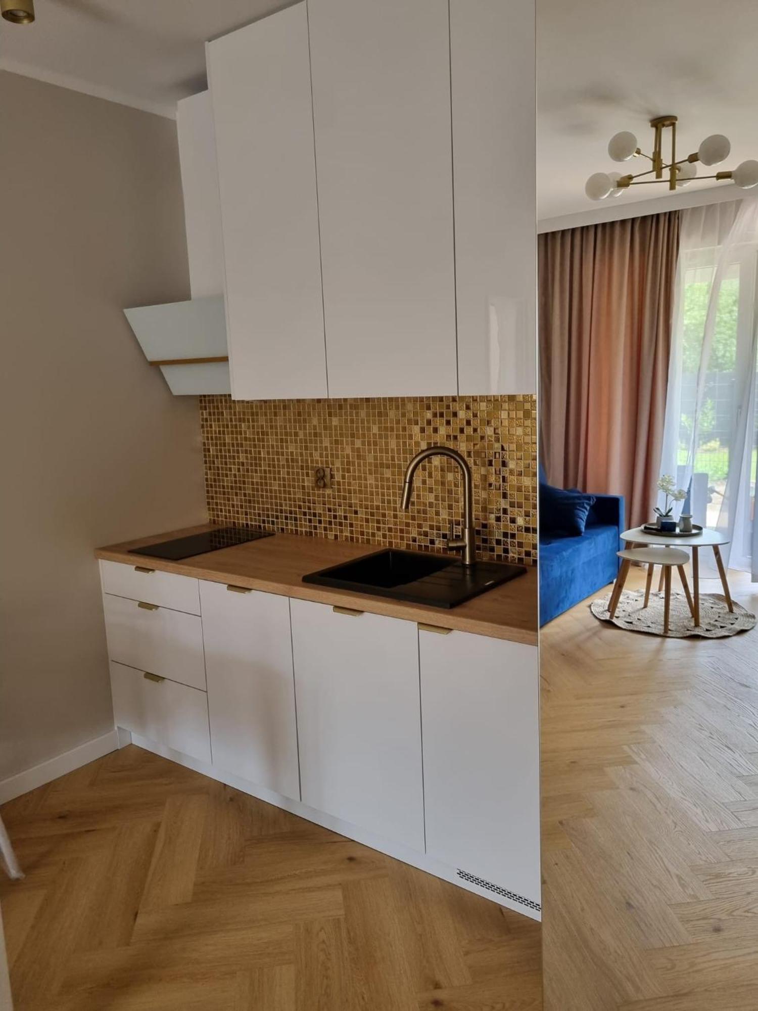Baltic Waves Resort Baseny Bawialnia Silownia Garaz W Cenie 미엥지즈드로예 외부 사진